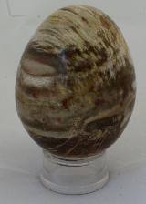 Яйцо из окаменелого дерева